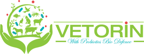 Vetorin